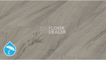Ламинат Kronotex Mammut Plus d4671 Дуб Магнум Серый фото 1 | FLOORDEALER